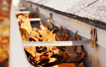 Fleetend gutter cleaning companies